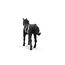 schleich HORSE CLUB Paint Horse Wallach, 3 image