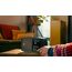 Philips TAV2000FB/00 Radio Tragbar Analog Schwarz, 8 image