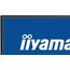 iiyama ProLite X2792QSU-B1 Computerbildschirm 68,6 cm (27") 2560 x 1440 Pixel Quad HD LED Schwarz, 3 image