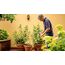Bosch GardenPump18V-2000 2000 l/h, 9 image