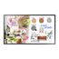 Samsung WM55FX Interaktives Whiteboard 139,7 cm (55") 3840 x 2160 Pixel Touchscreen Grau, Weiß HDMI