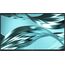 DELL Pro P P2426H WOST Computerbildschirm 61 cm (24") 1920 x 1080 Pixel Full HD LCD Schwarz