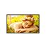 LG 32UL5Q-M Signage-Display Digital Signage Flachbildschirm 81,3 cm (32") LCD WLAN 500 cd/m² 4K Ultra HD Schwarz WebOS 24/7