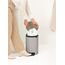 Brabantia NewIcon Rund Stahl Grau, 3 image