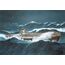 Revell Das Boot Collector's Edition - 40th Anniversary Modell eines Marineschiffs Montagesatz 1:144, 6 image