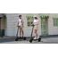 Xiaomi Electric Scooter 6 Lite Grau 20 km/h 10 Ah, 2 image