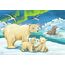 Ravensburger 05095 Puzzle Puzzlespiel 12 Stück(e) Flora & Fauna, 2 image