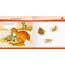 Ravensburger 60040 Malvorlage &- buch Malbuch/Album, 2 image