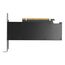 PNY RTX PRO 2000 Blackwell NVIDIA 16 GB GDDR7, 2 image