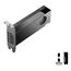 PNY RTX PRO 2000 Blackwell NVIDIA 16 GB GDDR7, 5 image