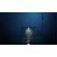 THQ REANIMAL (PC) Standard Mehrsprachig, 2 image