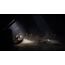 THQ REANIMAL (PC) Standard Mehrsprachig, 3 image