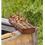 Windhager 06841 Blumenkübel Drinnen Pflanzgefäß Freistehend Kunststoff Terrakotta, 2 image