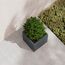 Herstera Metal Planter Cube Draußen Pflanzgefäß Freistehend Galvanisiertes Stahl Anthrazit, 4 image