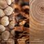 WoodWick Iris Woods Wachskerze Zylinder Holz Braun 1 Stück(e), Farbe: Braun, 2 image