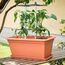 Gusta Garden Chili Buddy Korbpflanzenstütze Kunststoff Schwarz, Grau, 7 image