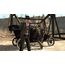 Take-Two Interactive Red Dead Redemption - Code in a Box, 11 image