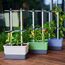 Gusta Garden CHARLY CHILI XL, Farbe: Blau, Grau, 3 image