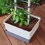 Gusta Garden CHARLY CHILI XL, Farbe: Blau, Grau, 7 image