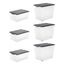 Rotho 1050308080WS Aufbewahrungsbox Rechteckig Polypropylen (PP) Transparent, Schwarz
