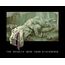 Retro Games THEA500 Mini Grau, 37 image
