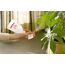 Birchmeier 10937507 Garten-Wasserspritzpistole Garten Wassersprühpistole Kunststoff Rot, Weiß, 5 image