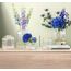 Villeroy & Boch 1173360948 Vase Vase mit runder Form Glas Transparent, 2 image
