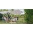 Outwell Canopy Tarp M Grau, 3 image