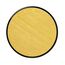 Snazaroo Metallic Face Paint, Farbe: Gold, 2 image