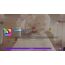 GAME Let's Sing 2025 Standard+Add-on Englisch Xbox One/Xbox Series X, 2 image