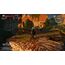 BANDAI NAMCO Entertainment The Witcher 3: Wild Hunt - Complete Edition Vollständig Deutsch, Französisch, Italienisch, Englisch PlayStation 5, 5 image
