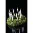Opiflor 113951 Floraler Schaum, 7 image