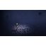 BANDAI NAMCO Entertainment Little Nightmares Enhanced Edition Complete Edition Nintendo Switch 2 Vollständig Mehrsprachig, 13 image