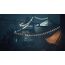 BANDAI NAMCO Entertainment Little Nightmares III, Nintendo Switch 2 Standard, 3 image