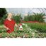 Birchmeier Aquamix 1.25 V Handgartenspritzer 1,25 l, 4 image