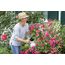 Birchmeier Rose Star 1.25 Handgartenspritzer 1,25 l, 2 image