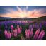 Ravensburger 12000688 Puzzlespiel 500 Stück(e) andere, 2 image