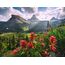 Ravensburger Puzzle Pristine Mountains, 2 image