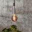 Star Trading 350-61 LED-Lampe Warmweiß 1800 K 3 W E14, 2 image