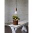 Star Trading 12.357-35 LED-Lampe Warmweiß 16 W E27