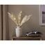 Star Trading Twig Plumes Leichte Dekorationsfigur 3 Glühbirne(n) LED 0,09 W, 3 image