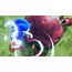 SEGA Sonic Frontiers - Definitive Edition, 4 image