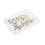 keeeper Karolina Aufbewahrungsbox Rechteckig Polypropylen (PP) Transparent, Mehrfarbig, 2 image