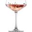 SCHOTT ZWIESEL 123384 Cocktail-/Likör-Glas Cocktailglas