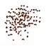 Tetra TetraMin Granules 0,1 kg 0,25 l, 4 image