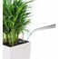 LECHUZA CUBICO Color 40 All-in-One Set Drinnen/Draußen Topfpflanzer Freistehend Polypropylen (PP) Weiß, 10 image