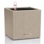 LECHUZA CANTO Drinnen/Draußen Topfpflanzer Freistehend Polypropylen (PP) Beige, Farbe: Beige