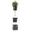 LECHUZA Green Wall Home Kit Glossy Drinnen Topfpflanzer Wand-montiert Polypropylen (PP) Weiß, 2 image