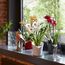 LECHUZA ORCHIDEA Drinnen Topfpflanzer Freistehend Grau, Farbe: Grau, 2 image