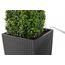 LECHUZA CUBE Cottage 30 All-in-One Set Drinnen/Draußen Topfpflanzer Freistehend Polypropylen (PP) Grau, Farbe: Grau, 7 image